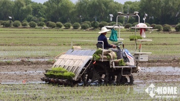 608蘇寧易購產地直賣節 以極致性價比，為618電蚊拍大戰打響前哨